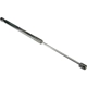 Purchase Top-Quality Lift Support by URO - 5K6827550D pa1