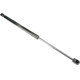 Purchase Top-Quality Lift Support by URO - 5K6827550D pa4