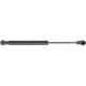 Purchase Top-Quality Lift Support by URO - 9154605 pa4