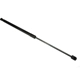 Purchase Top-Quality Lift Support by URO - 95851135900 pa1