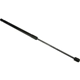 Purchase Top-Quality Lift Support by URO - 95851135900 pa4