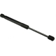 Purchase Top-Quality Lift Support by URO - 99151155100 pa1