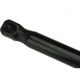 Purchase Top-Quality Lift Support by URO - 99151155100 pa2