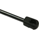 Purchase Top-Quality Lift Support by URO - 99151155100 pa3