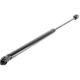 Purchase Top-Quality VAICO - V10-3986 - Tailgate Lift Support pa1