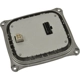 Purchase Top-Quality Lighting Ballast by BLUE STREAK (HYGRADE MOTOR) - HID124 pa1