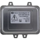 Purchase Top-Quality Lighting Control Module by HELLA - 009000001 pa4