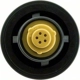 Purchase Top-Quality Locking Fuel Cap by GATES - 31770 pa4