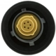 Purchase Top-Quality Locking Fuel Cap by MOTORAD - MGC774 pa1