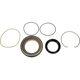 Purchase Top-Quality DORMAN (OE SOLUTIONS) - 600-207 - Locking Hub Seal Kit pa6