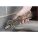 Purchase Top-Quality Locking Pliers by ECLIPSE - E10R pa2