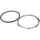 Purchase Top-Quality Locking Ring by CARTER - TLR1 pa3