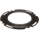 Purchase Top-Quality DELPHI - FA10026 - Fuel Tank Lock Ring pa5