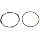 Purchase Top-Quality Locking Ring by DORMAN/HELP - 55813 pa2
