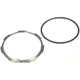 Purchase Top-Quality Locking Ring by DORMAN/HELP - 55813 pa3