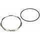 Purchase Top-Quality Locking Ring by DORMAN/HELP - 55813 pa6