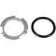 Purchase Top-Quality Locking Ring by DORMAN (OE SOLUTIONS) - 579-002 pa1