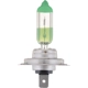 Purchase Top-Quality Low Beam Headlight by PHILIPS - H7GREEN pa10
