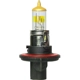 Purchase Top-Quality Low Beam Headlight by WAGNER - BP9008ND2 pa1