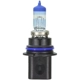 Purchase Top-Quality Low Beam Headlight by WAGNER - BP9004BLX2 pa6