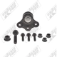 Purchase Top-Quality Lower Ball Joint by CHASSIS PRO - TK80957 pa2