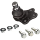 Purchase Top-Quality DELPHI - TC3670 - Lower Ball Joint pa9