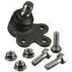 Purchase Top-Quality Lower Ball Joint by DELPHI - TC2835 pa4