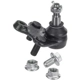 Purchase Top-Quality DELPHI - TC3679 - Lower Ball Joint pa13