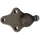 Purchase Top-Quality DELPHI - TC630 - Lower Ball Joint pa16