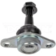 Purchase Top-Quality Lower Ball Joint by DORMAN (OE SOLUTIONS) - 523-123 pa1
