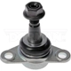 Purchase Top-Quality Lower Ball Joint by DORMAN (OE SOLUTIONS) - 523-123 pa2