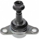 Purchase Top-Quality Lower Ball Joint by DORMAN (OE SOLUTIONS) - 523-123 pa4
