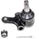 Purchase Top-Quality Lower Ball Joint by DORMAN (OE SOLUTIONS) - 533-389 pa1