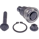 Purchase Top-Quality Lower Ball Joint by DORMAN (OE SOLUTIONS) - 539-881 pa1