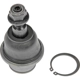 Purchase Top-Quality Lower Ball Joint by DORMAN (OE SOLUTIONS) - 540-039 pa3