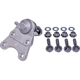 Purchase Top-Quality Lower Ball Joint by DORMAN (OE SOLUTIONS) - 540-075 pa2