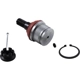 Purchase Top-Quality Lower Ball Joint by DORMAN (OE SOLUTIONS) - B80027RD pa2