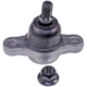 Purchase Top-Quality Lower Ball Joint by DORMAN PREMIUM - BJ60125XL pa1