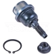 Purchase Top-Quality Lower Ball Joint by DORMAN PREMIUM - BJ92165XL pa2