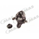 Purchase Top-Quality Lower Ball Joint by MAS INDUSTRIES - BJ75035 pa2