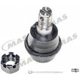 Purchase Top-Quality Lower Ball Joint by MAS INDUSTRIES - BJ81035 pa1