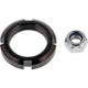 Purchase Top-Quality Lower Ball Joint by MEVOTECH - MS10502 pa3