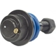 Purchase Top-Quality Lower Ball Joint by MEVOTECH - MS50529 pa11