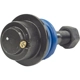 Purchase Top-Quality Lower Ball Joint by MEVOTECH - MS50529 pa9