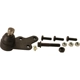 Purchase Top-Quality Lower Ball Joint by MOOG - K500481 pa1