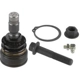 Purchase Top-Quality Lower Ball Joint by MOOG - K500033 pa20