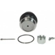 Purchase Top-Quality Lower Ball Joint by MOOG - K500038 pa2