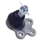 Purchase Top-Quality SUSPENSIA CHASSIS - X07BJ1175 - Front Lower Suspension Ball Joint pa1