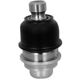 Purchase Top-Quality SUSPENSIA CHASSIS - X33BJ0081 - Front Lower Suspension Ball Joint pa1