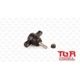 Purchase Top-Quality Lower Ball Joint by TRANSIT WAREHOUSE - TOR-K500035 pa1
